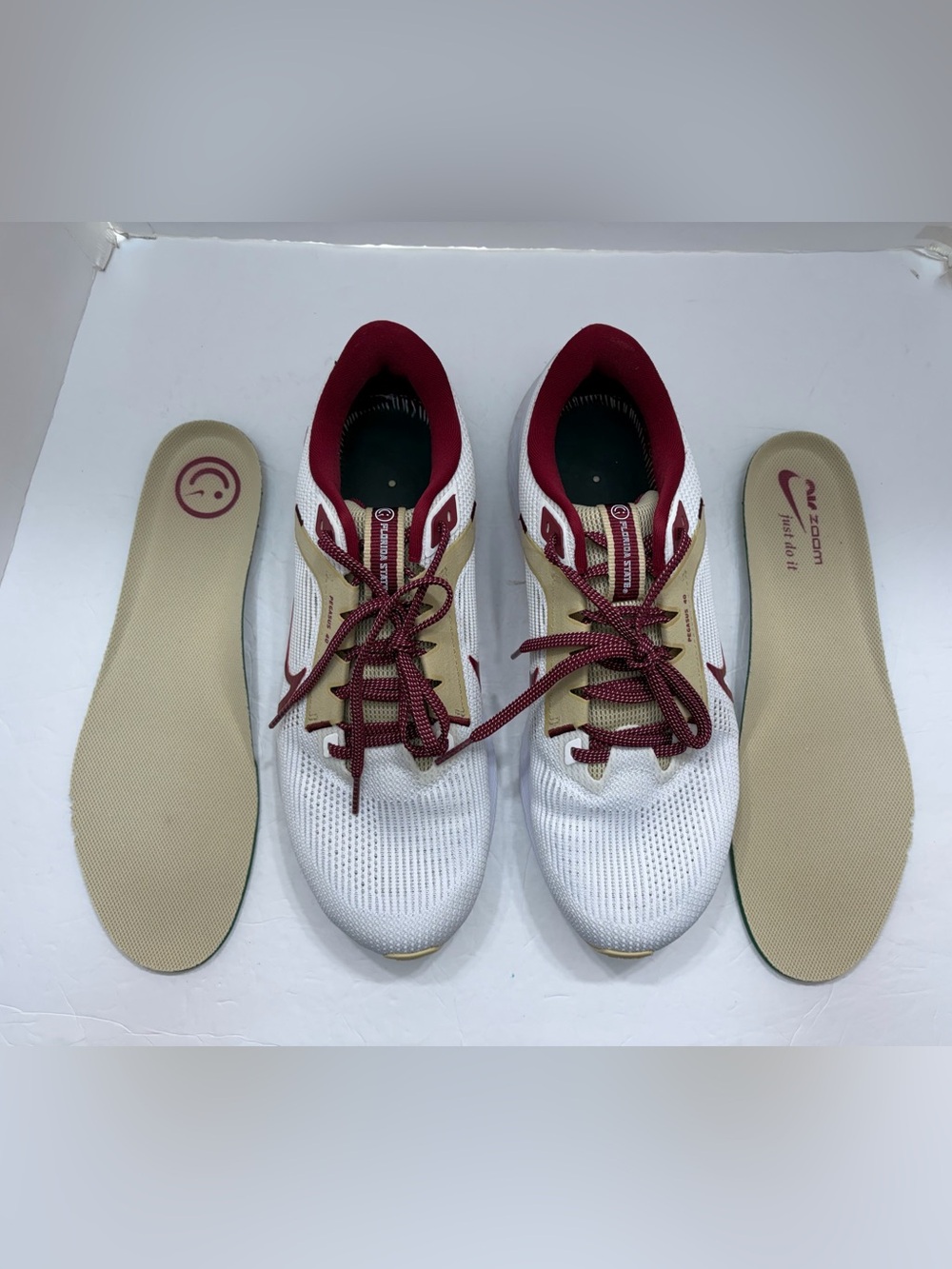 Nike Air Zoom Pegasus 40 FSU Florida State Running Shoes Men's 11.5